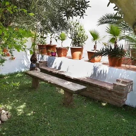 Espectacular Con Piscina En Conil Cl-5c Villa